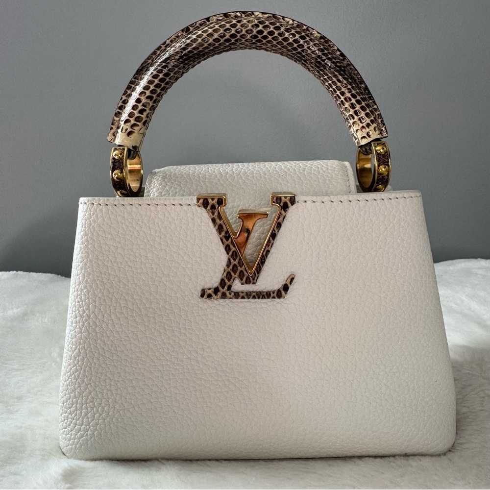 Louis Vuitton Taurillon & Python Leather Capucines Mini Handbag